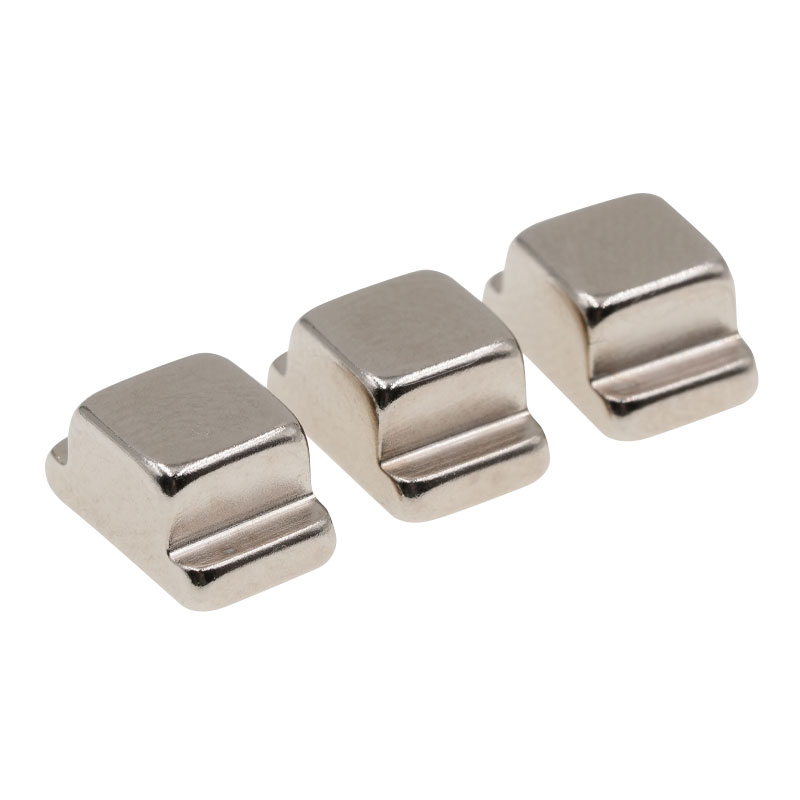 แม่เหล็กถาวรรูปร่างแบบกำหนดเอง